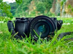 Ya puedes presentar tus fotografías al 5º concurso de APNABI, abierto hasta el 1 de octubre de 2023